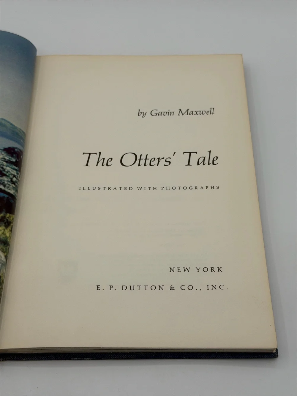 The Otter's Tale by Gavin Maxwell (Hardcover Book, 1962) First Edition